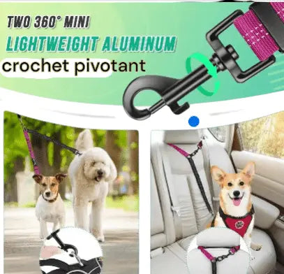 LAISSE DOUBLE CHIEN Joie de chien