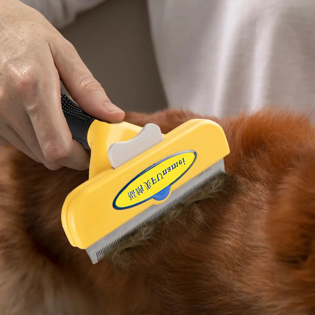 Brosse d'épilation pour animaux de compagnie, peigne pour chat et chien, outils de toilettage pour animaux de compagnie, perte de cheveux, tondeuse, fournitures de livres pour chiots Joie de chien