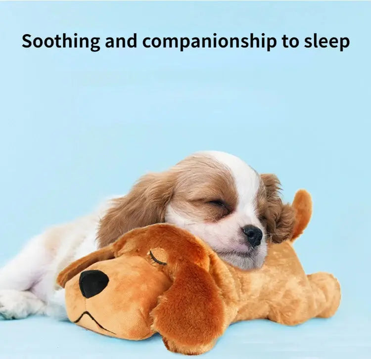 IFObalance-Peluche d'entraînement comportemental pour animaux de compagnie, battement de coeur pour chiot, confortable, câlin, instituts d'anlande, aide au sommeil, beurre durable, vente en gros Joie de chien