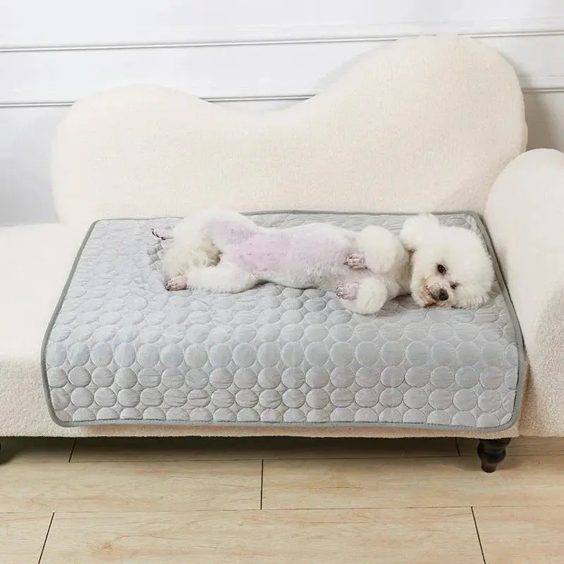 🐾Tapis fraîcheur chien - Joie de chien