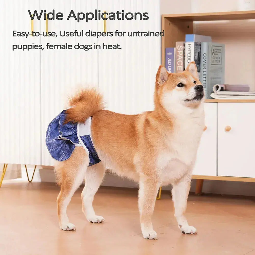 couche pour chien femelle chaleur Joie de chien