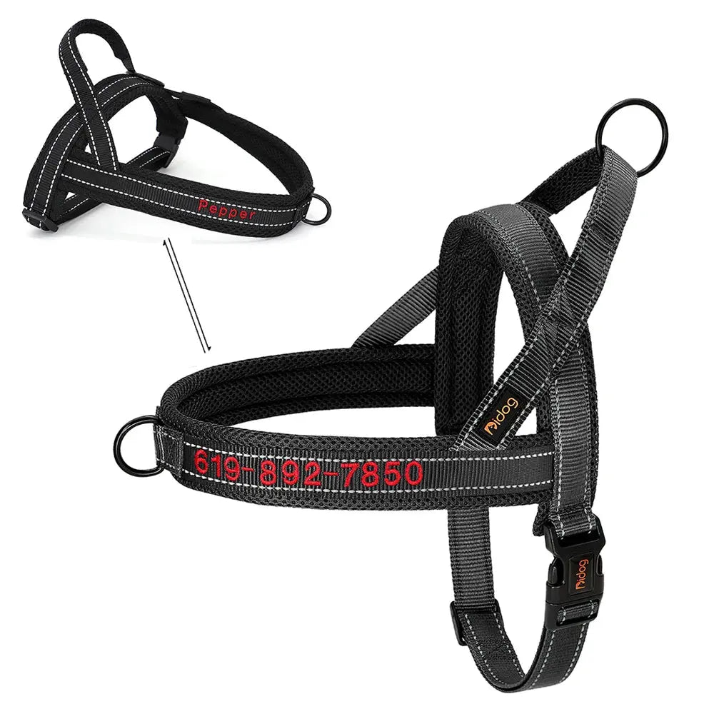 🐕🦺 Le Harnais Anti-Traction pour Chien Joie de chien