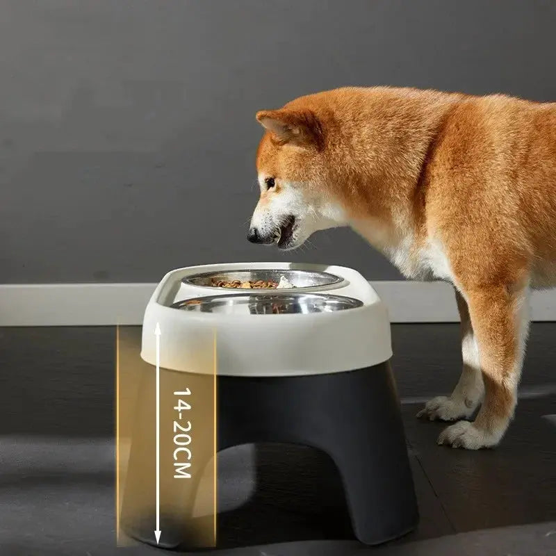 Gamelle Surélevée Pour Chien,Plat Surélevé En Céramique Avec Support En Gamelle Surélevée Pour Chien,Plat Surélevé En Céramique Avec Support En