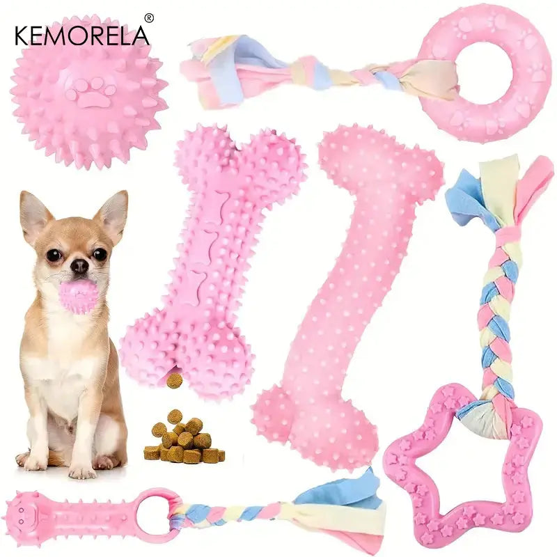 🐶Jouets pour chien Joie de chien