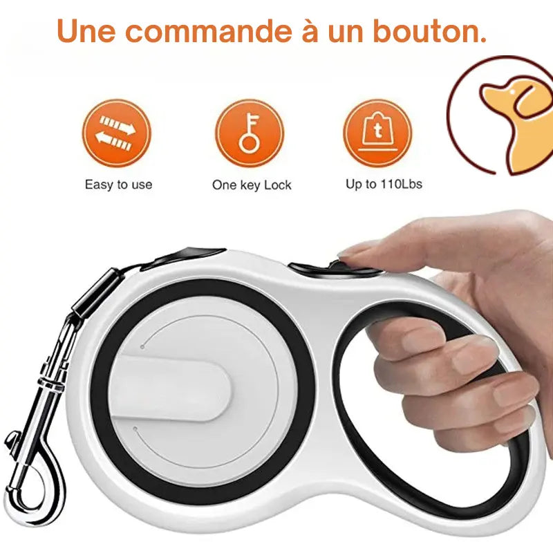 Laisse extensible pour chiens , 3/5/8M rétractable Joie de chien