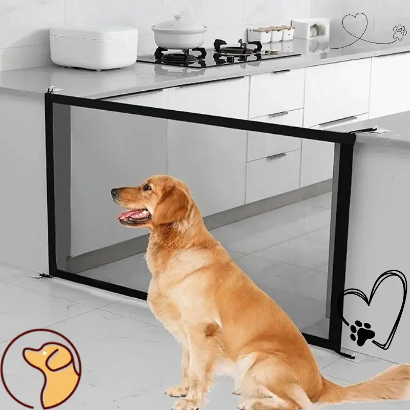 Barrière pour chien Joie de chien