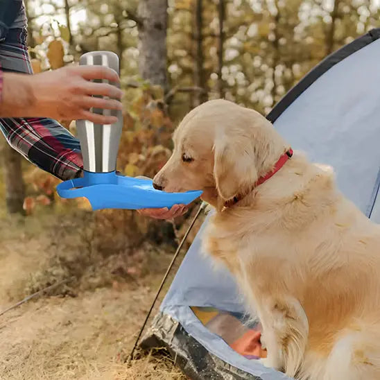 🐕Gourde chien Joie de chien