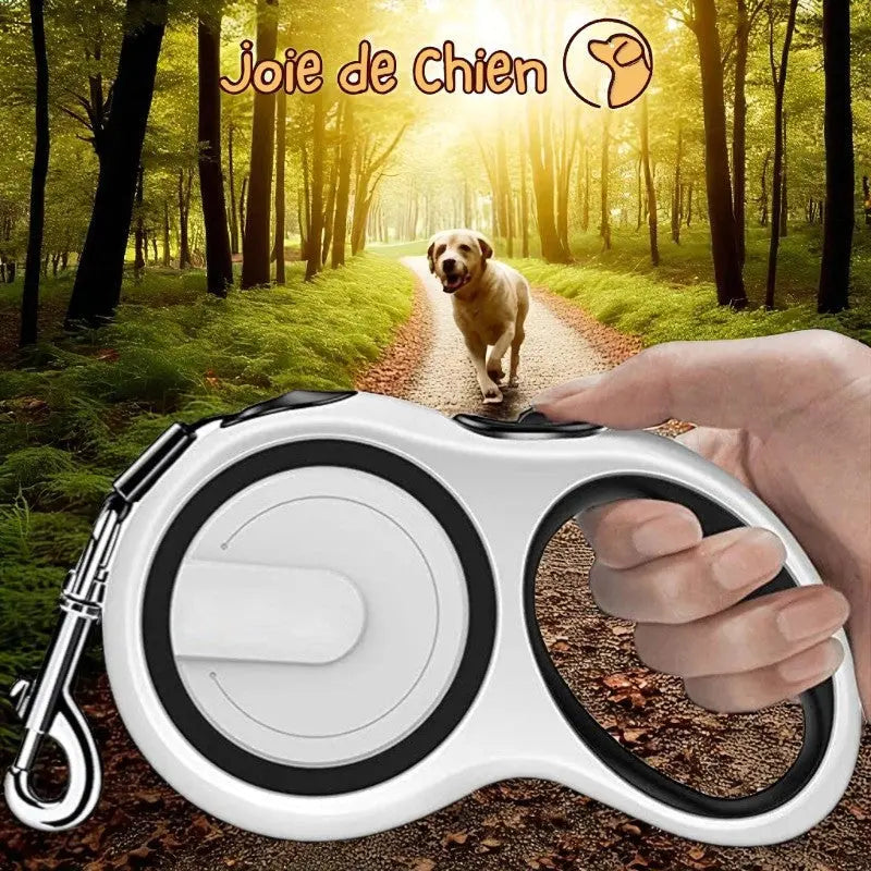 Laisse extensible pour chiens , 3/5/8M rétractable Joie de chien