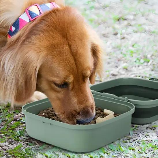 Gamelle de voyage chien en utilisation pour l'eau