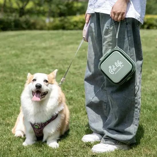 Double gamelle pliable pour chien pour nourriture et eau