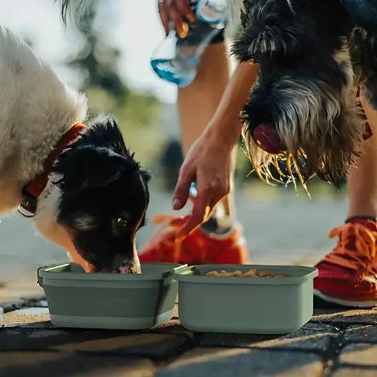 Gamelle chien pliable attachée au sac à dos de voyage