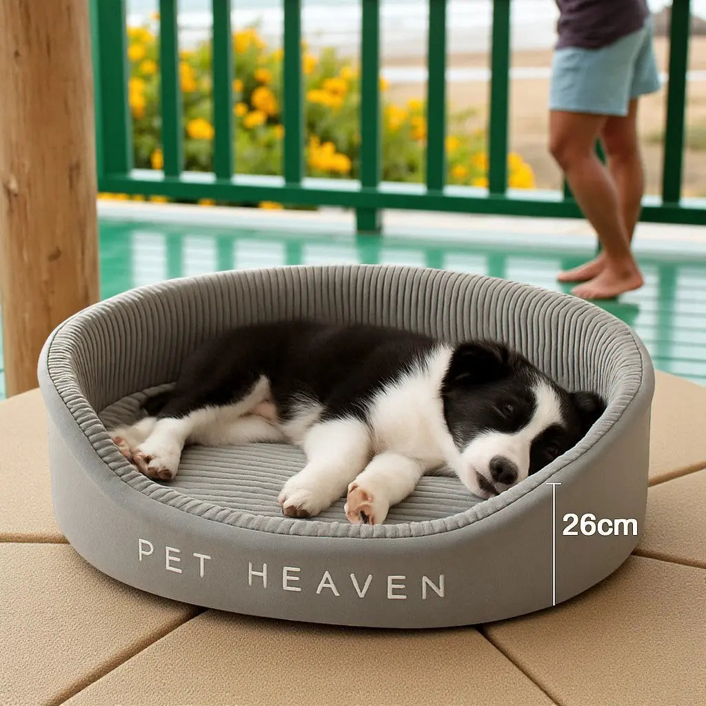 🐾Lit pour chien confortable Joie de chien
