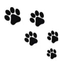 Comment-choisir-le-meilleur-lit-pour-chien-selon-la-taille-de-votre-animal Joie de chien
