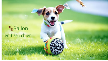 🐾Ballon tissu chien Joie de chien