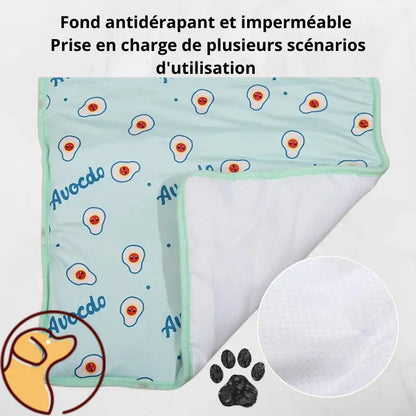 Tapis fraicheur chien Joie de chien