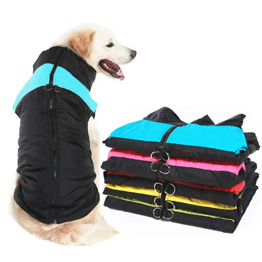 Vêtements d'hiver imperméables pour animaux de compagnie, manteau chaud pour grands chiens, veste en émail pour chiots, petits, moyens et grands chiens, Golden Retriever Joie de chien