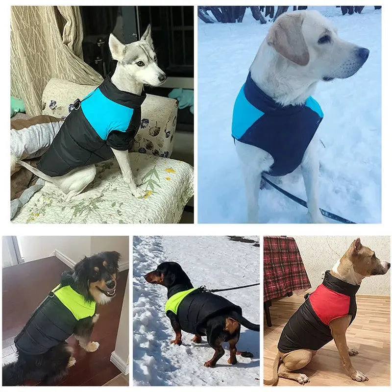 Vêtements d'hiver imperméables pour animaux de compagnie, manteau chaud pour grands chiens, veste en émail pour chiots, petits, moyens et grands chiens, Golden Retriever Joie de chien