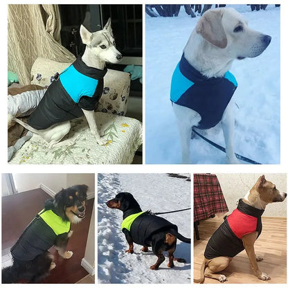 Vêtements d'hiver imperméables pour animaux de compagnie, manteau chaud pour grands chiens, veste en émail pour chiots, petits, moyens et grands chiens, Golden Retriever Joie de chien