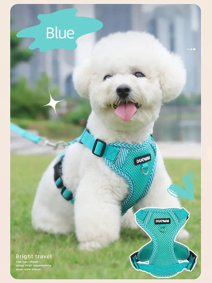 🐕‍🦺Harnais petit chien Joie de chien