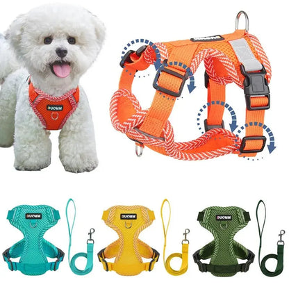🐕‍🦺Harnais petit chien Joie de chien
