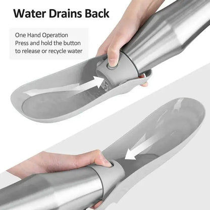 🐕Gourde chien Joie de chien