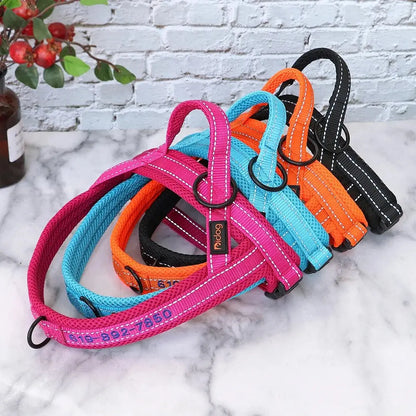 🐕‍🦺 Le Harnais Anti-Traction pour Chien Joie de chien