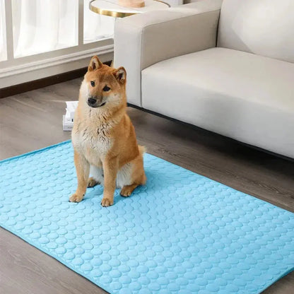 🐾Tapis fraîcheur chien - Joie de chien