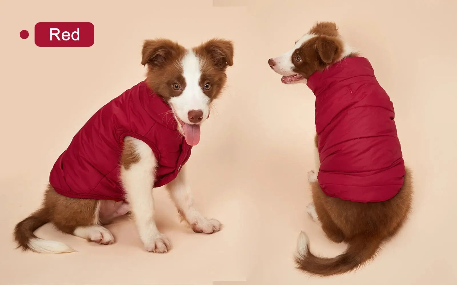 Vêtements d'hiver pour chiens, veste chaude résistante au froid pour l'extérieur, avec doublure en coton polaire, manteau pour chihuahua bouledogue français, chiot Joie de chien