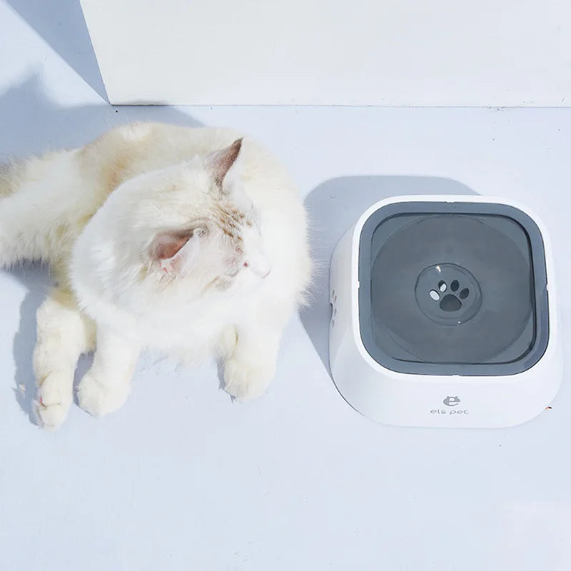 Gamelle d'eau flottante Distributeur d'eau portable pour chien