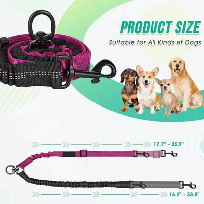 LAISSE DOUBLE  CHIEN Joie de chien