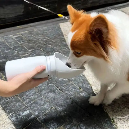 🐕Gourde pour chien  portable Joie de chien