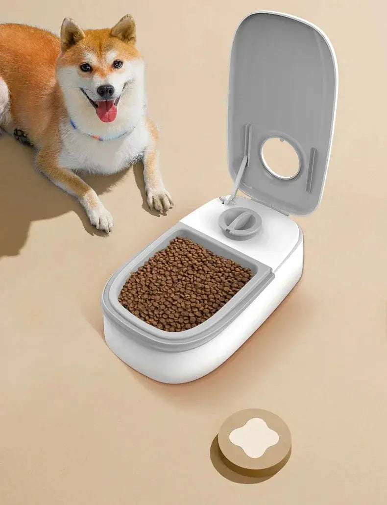 Mangeoire à synchronisation automatique pour animaux de compagnie, grande capacité de 700ML, récipient pour aliments secs et humides, bol électrique à Double plat pour chiens et chats Joie de chien