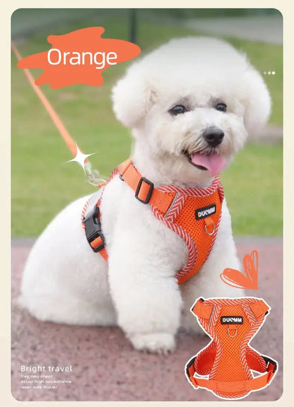 🐕‍🦺Harnais petit chien Joie de chien
