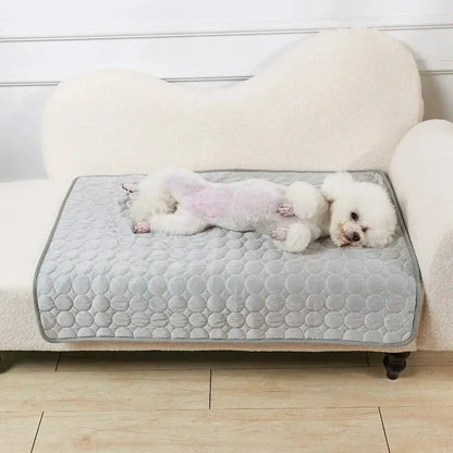 🐾Tapis fraîcheur chien - Joie de chien