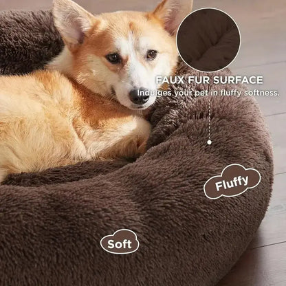 🐶Panier à chien Joie de chien