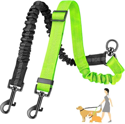 LAISSE DOUBLE  CHIEN Joie de chien