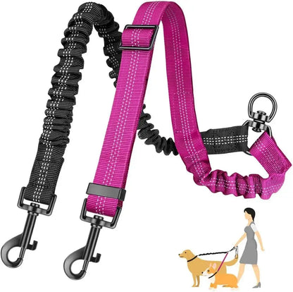 LAISSE DOUBLE  CHIEN Joie de chien
