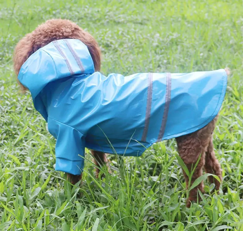 Manteau imperméable réfléchissant pour chien, imperméable, résistant à la neige, pour petits chiots et chats, Chihuahua, bouledogue, Cape pour animaux de compagnie, Poncho, Costume Joie de chien