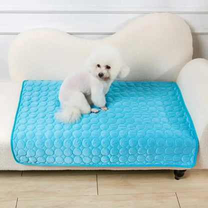 🐾Tapis fraîcheur chien - Joie de chien