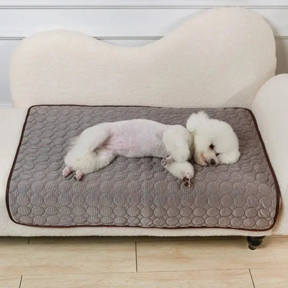 🐾Tapis fraîcheur chien - Joie de chien