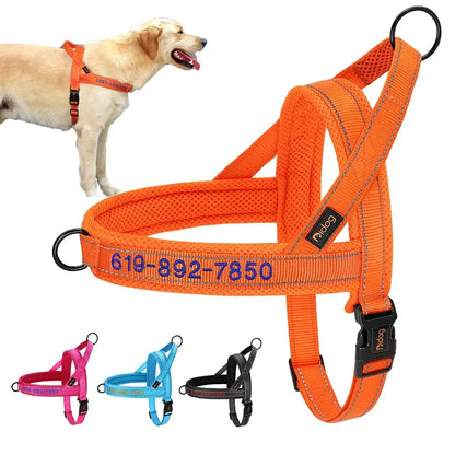 🐕‍🦺 Le Harnais Anti-Traction pour Chien Joie de chien