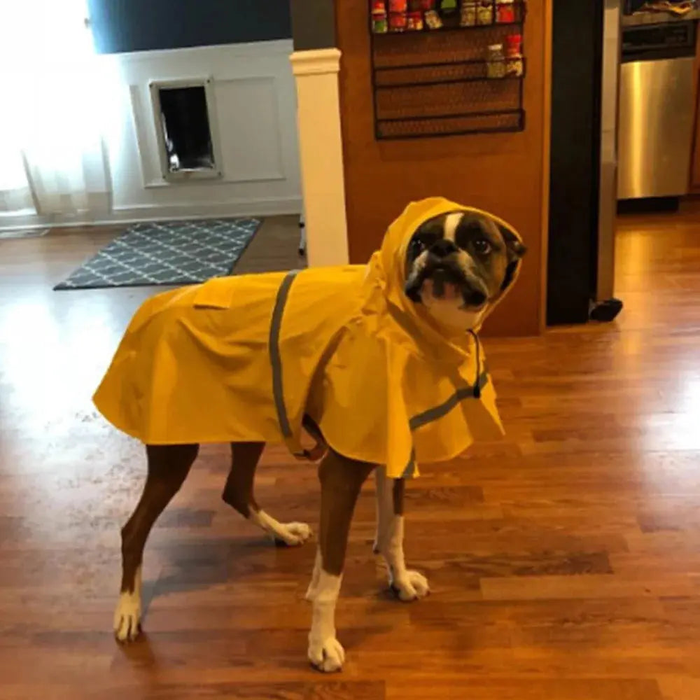 Imperméable à capuche pour animaux de compagnie à la mode, imperméable pour chien, vêtements réfléchissants pour chien de Style Cape pour garder votre chien sec et confortable en pluvieux Joie de chien