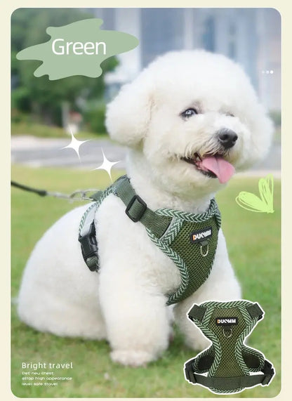 🐕‍🦺Harnais petit chien Joie de chien