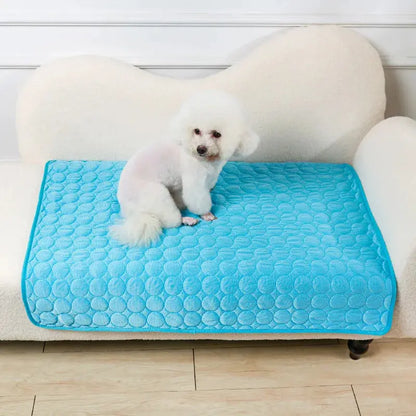 🐾Tapis fraîcheur chien - Joie de chien