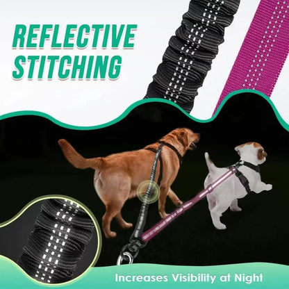 LAISSE DOUBLE  CHIEN Joie de chien