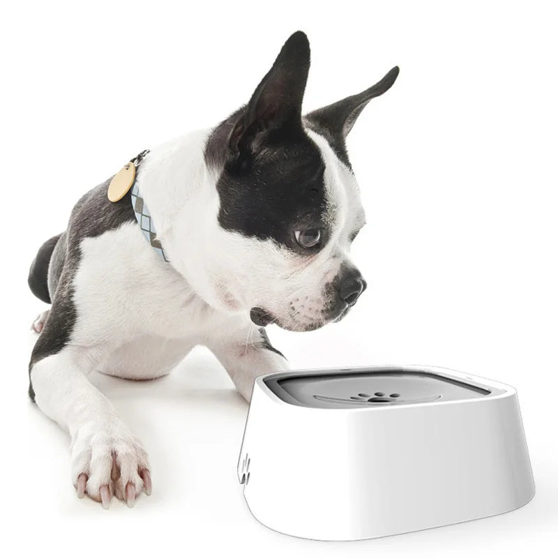 Gamelle d'eau flottante Distributeur d'eau portable pour chien