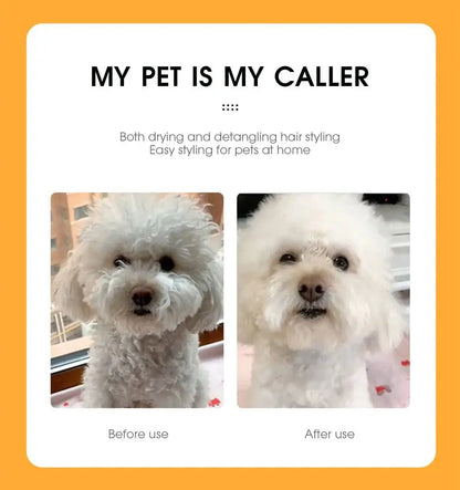 🐩séchoir pour chien Joie de chien
