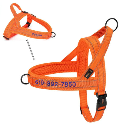 🐕‍🦺 Le Harnais Anti-Traction pour Chien Joie de chien