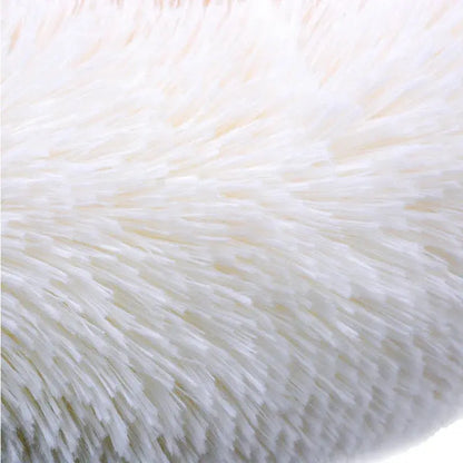 🐾Coussin memoire forme chien