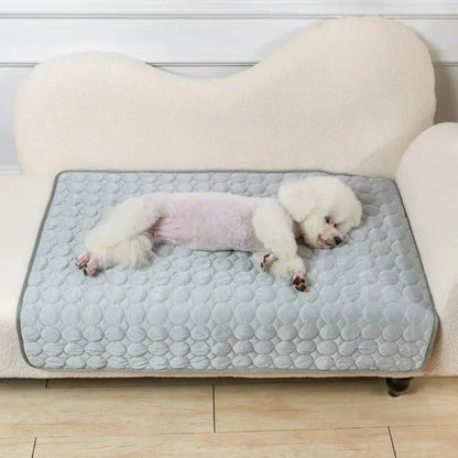 🐾Tapis fraîcheur chien - Joie de chien